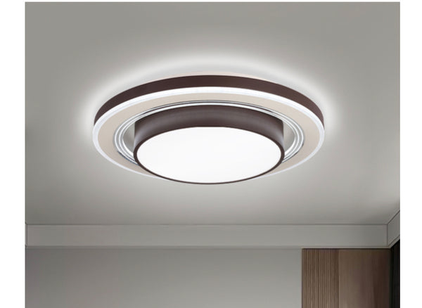 Artistic Round Ceiling light